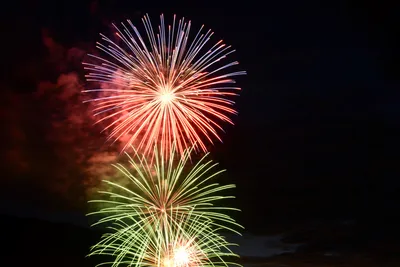 DSC_3352 (Large).JPG